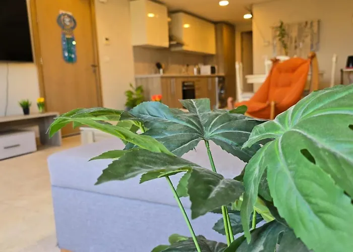 Apartamento Mangroovy - 2br Marvelous Pool View *